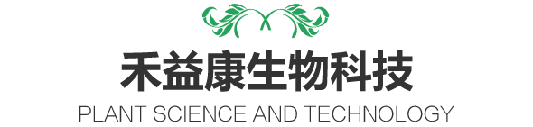 植物提取物研發和生產